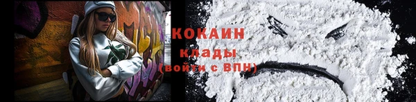 твердый Вяземский