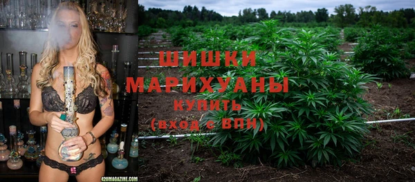 индика Горняк