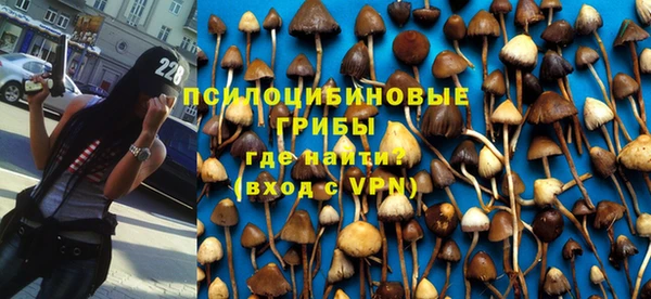 твердый Вяземский