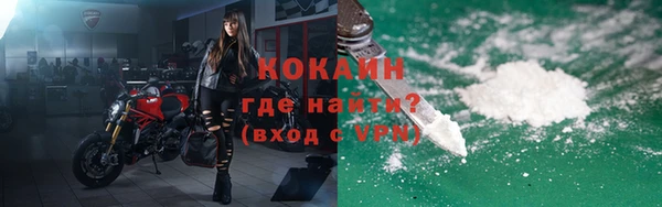 твердый Вяземский