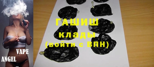 индика Горняк