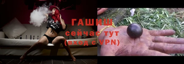 индика Горняк