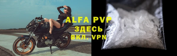 индика Горняк