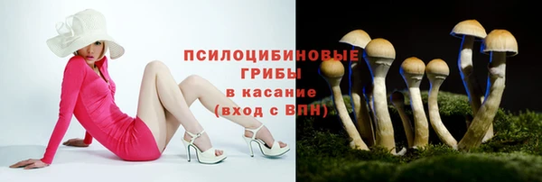 твердый Вяземский