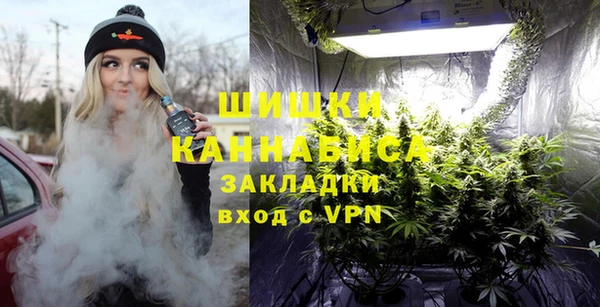 твердый Вяземский