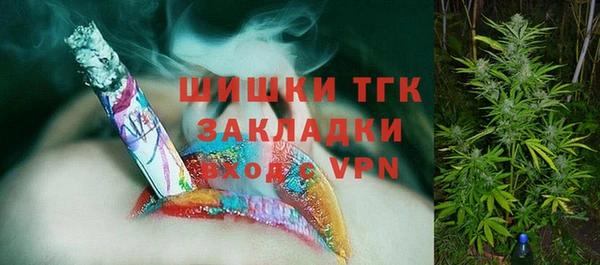 спиды Горнозаводск