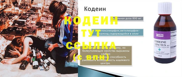 индика Горняк