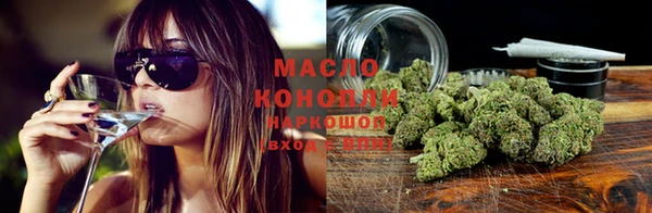 твердый Вяземский